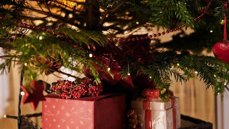 Zwei Geschenke stehen unter einem Weihnachtsbaum. 