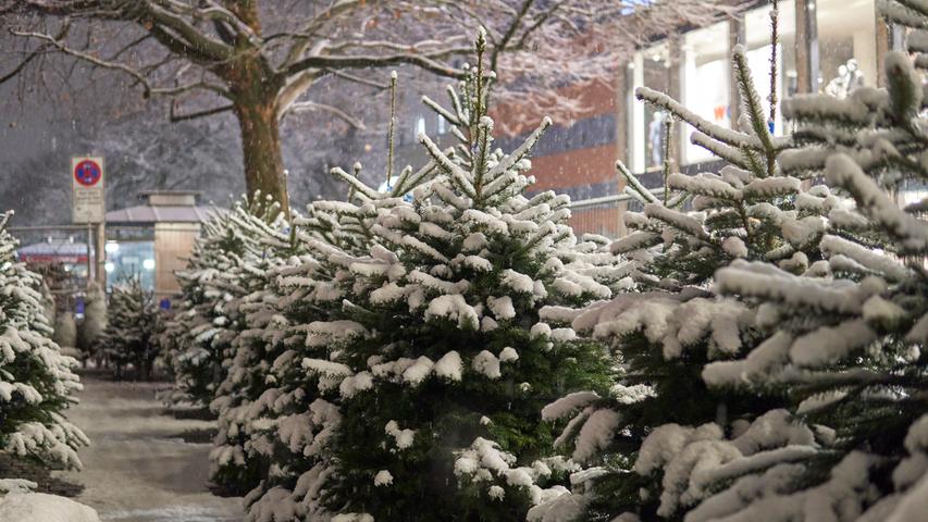 Am Abend blieben die Flocken liegen - wie hier beim Weihnachtsbaumverkauf auf der Fürther Freiheit.