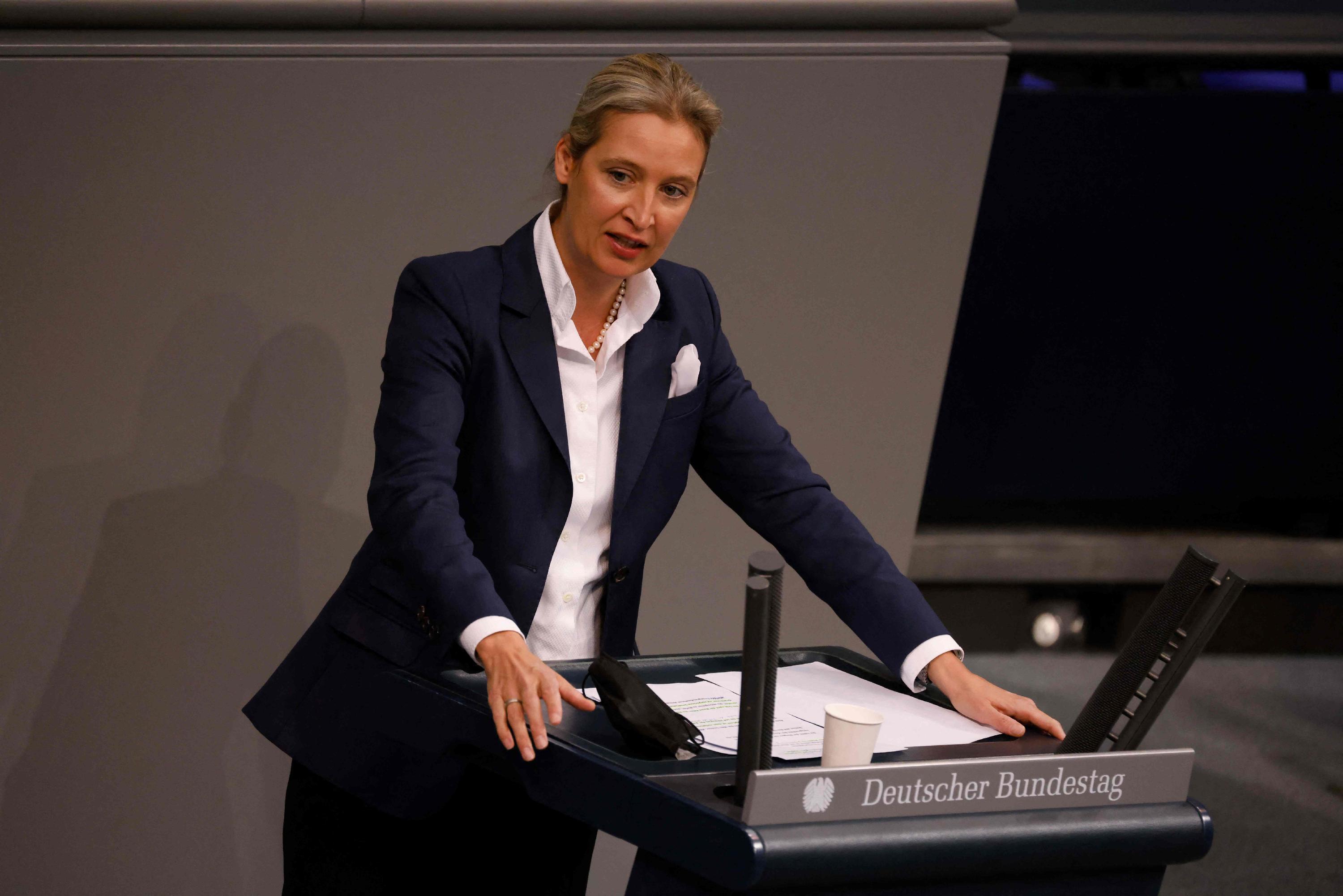 Führt die AfD den Innenausschuss des Bundestags, wird der Bock zum Gärtner