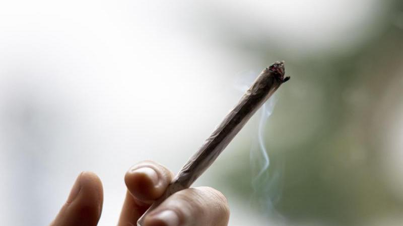 Cannabis ist die am häufigsten konsumierte illegale Droge in Deutschland. Sie ist weit verbreitet in allen Altersklassen und auch Gesellschaftsschichten.
