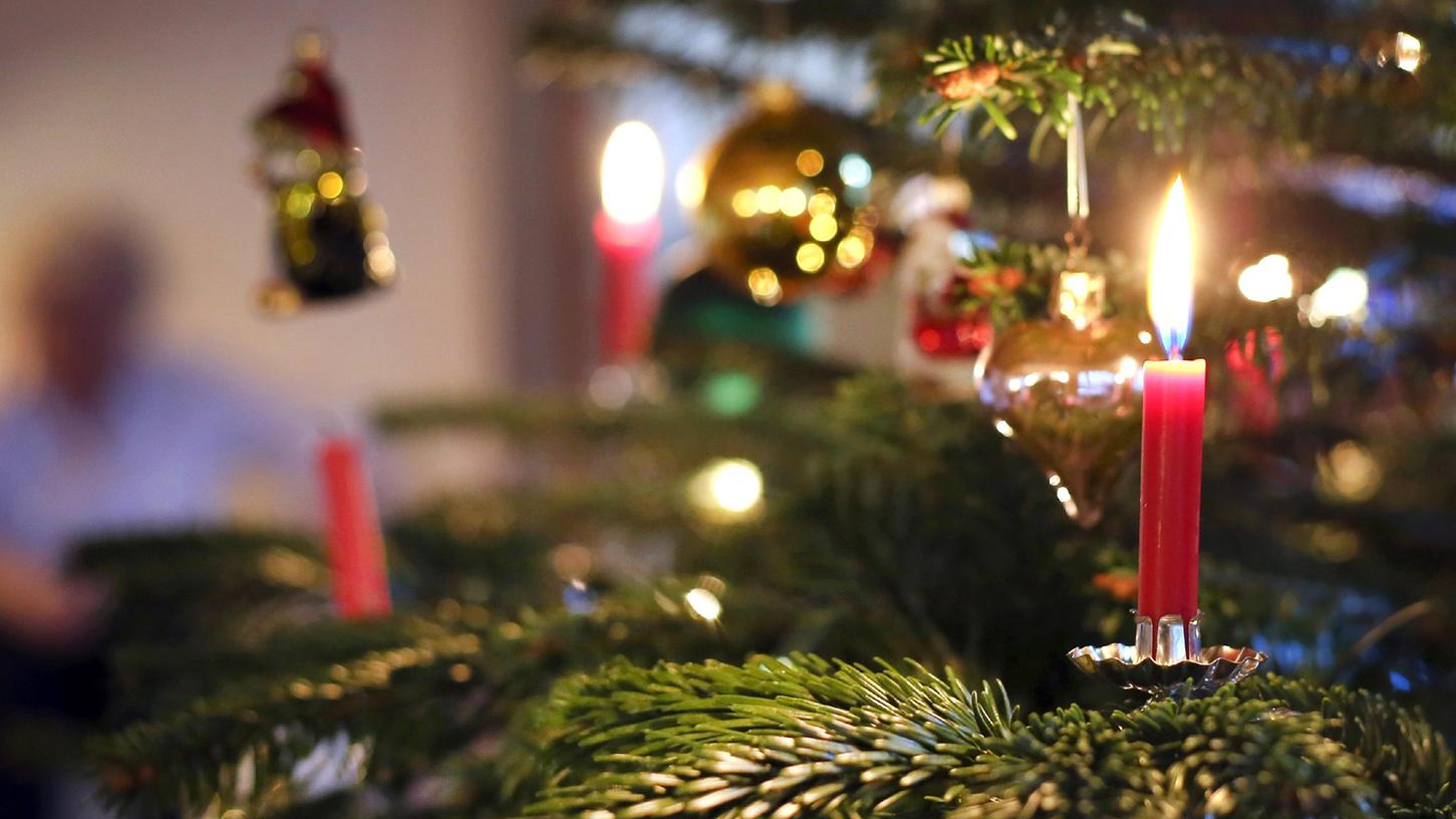 Weihnachten läuft alles friedlich und harmonisch ab? Wenn Weihnachtsbäume beteiligt sind, nicht immer.