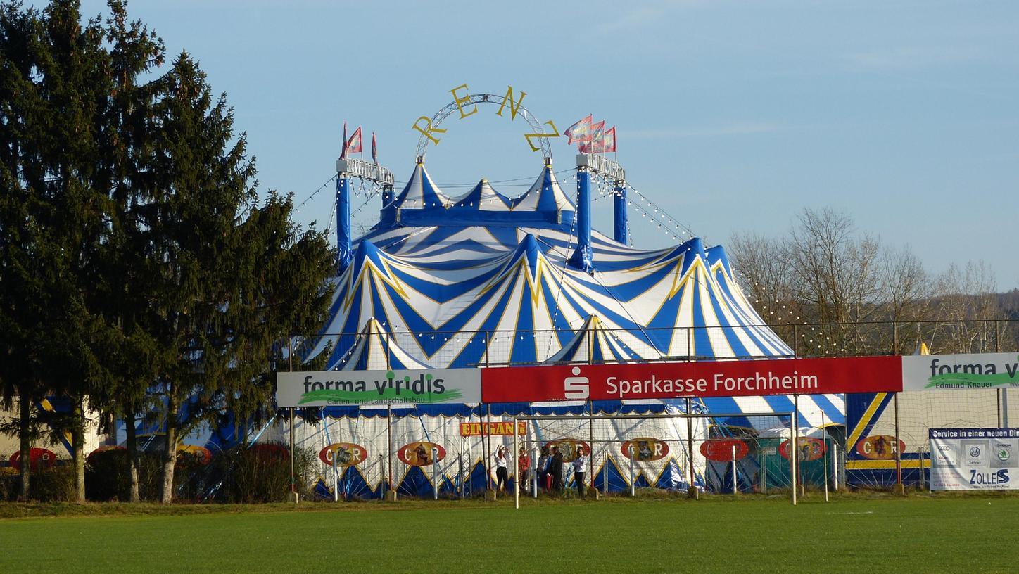 Zurück in Forchheim: Der Circus Renz hat sein Zelt in Buckenhofen aufgeschlagen. Zurück in Forchheim: Der Circus Renz hat sein Zelt in Buckenhofen aufgeschlagen.