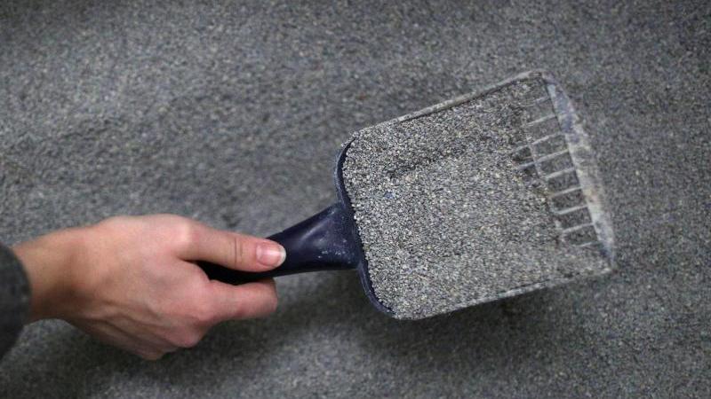 Katzenstreu aus Tonmaterialien ist laut Testern saugfähiger als Streu aus Pflanzenfaser. Katzenstreu aus Tonmaterialien ist laut Testern saugfähiger als Streu aus Pflanzenfaser.