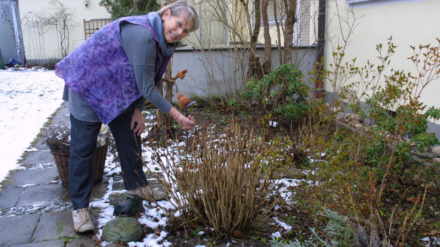 Bereits 2015 musste Renate Brümmerhoff feststellen, dass in der Nach die Hortensien in ihrem Garten in Limbach abgeschnitten wurden. Jetzt war es wieder so weit. 