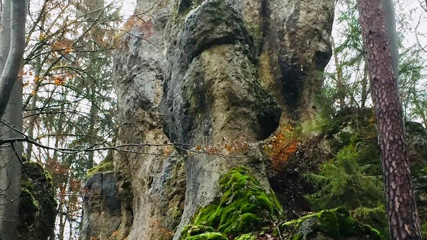 Mit Moos bedeckte Felsen auf der Silberecke in Hiltpoltstein
