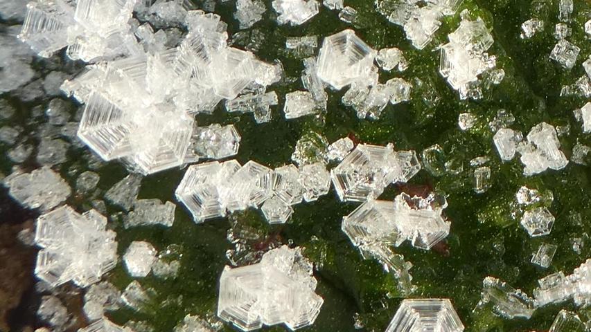 Spinnennetze aus Eis: Die vergrößerten Kristalle lassen mit bloßem Auge die faszinierenden Formen erkennen, die der Frost auf einem Heckenrosenblatt hinterlassen hat.

