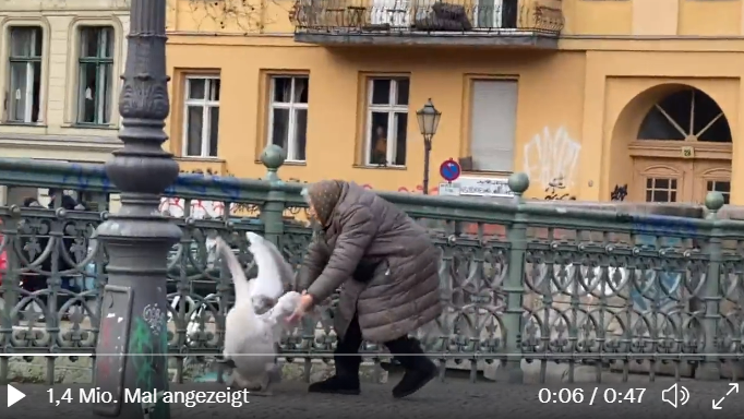 Mutige Oma wirft Schwan von der Brücke - Passanten filmen kuriosen Einsatz