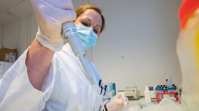 In einem Labor in Hannover werden positive PCR-Tests sequenziert: Es wird nach Corona-Varianten gesucht. Für Weißenburg-Gunzenhausen ist nun klar, dass Omikron die vorherrschende Variante ist und sich weiter rasant ausbreitet.
In einem Labor in Hannover werden positive PCR-Tests sequenziert: Es wird nach Corona-Varianten gesucht. Für Weißenburg-Gunzenhausen ist nun klar, dass Omikron die vorherrschende Variante ist und sich weiter rasant ausbreitet.