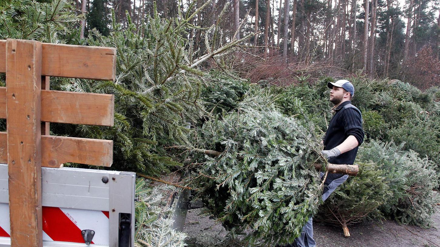 Auch heuer werden viele Christbaumsammlungen wegen der Pandemie abgesagt.
Auch heuer werden viele Christbaumsammlungen wegen der Pandemie abgesagt.