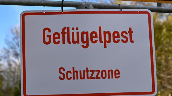 Geflügelpest: Bayern verbietet Märkte, Ausstellung und das Füttern von Wildvögeln
