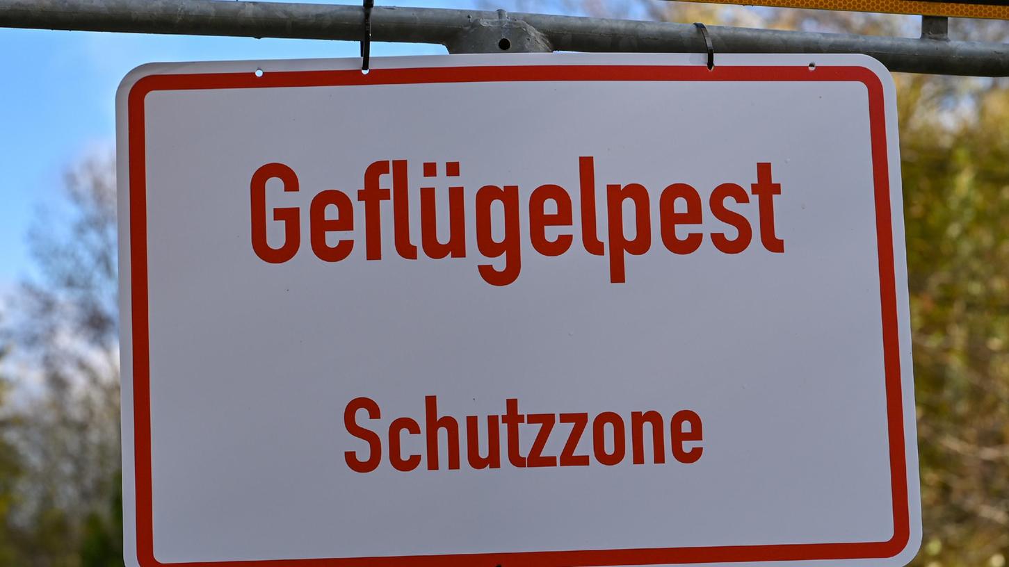 Dieses Schild wird Bürgerinnen und Bürger in Zukunft wieder häufiger begegnen. Bayern verschärft die Maßnahmen zur Eindämmung der Geflügelpest (Symbolbild).
