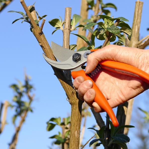 weitere interessante Themen: