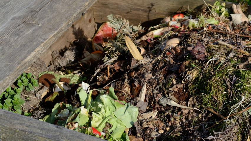 Kontrollieren Sie Ihren Kompost und achten Sie auf zu viel Nässe, die zu Fäulnis führen kann. Sonnige Wintertage sind gut, um verrotteten Kompost zu sieben und einen Teil davon bereits auf den Beeten zu verteilen.