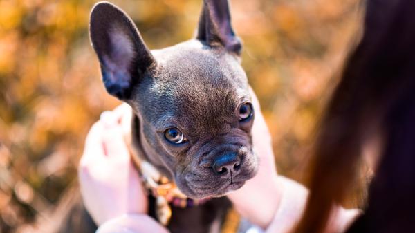 imago images 142688564