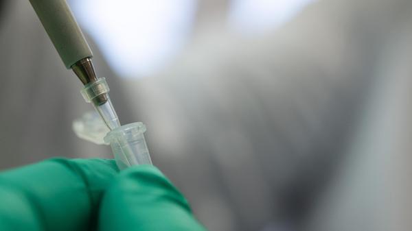 Coronavirus - Mutationen