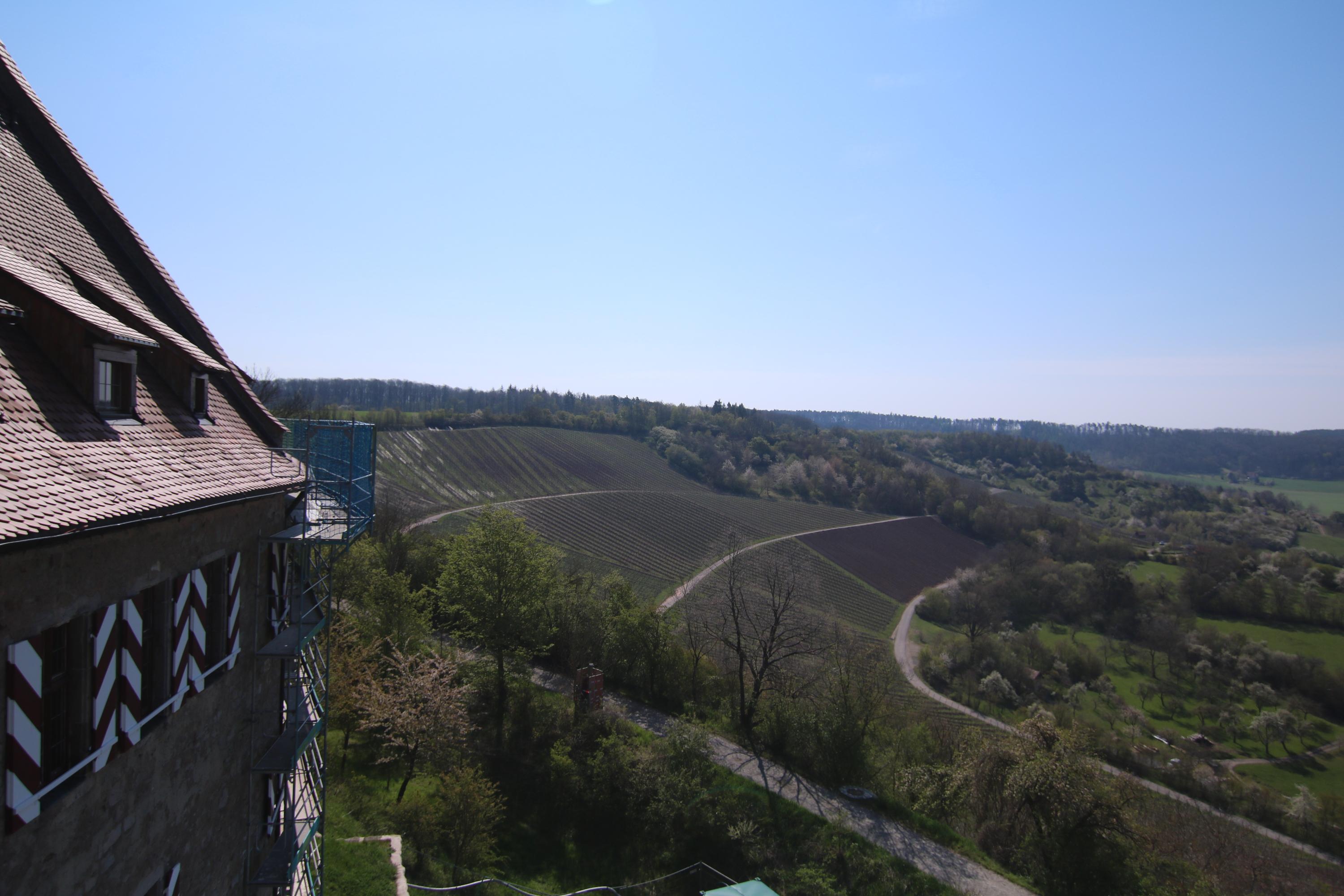Vom Gerüst aus hatten die Arbeiter einen guten Blick auf die Rebanlagen.
