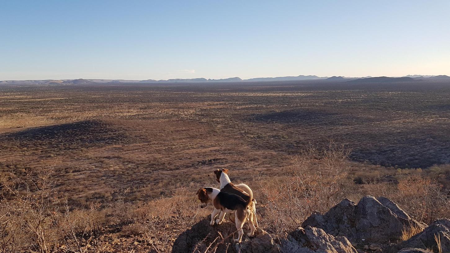 Namibia - ein weites und faszinierendes Land, auch wenn die Tagestemperaturen regelmäßig um die 35 Grad betragen.
Namibia - ein weites und faszinierendes Land, auch wenn die Tagestemperaturen regelmäßig um die 35 Grad betragen.