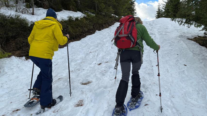 Das Schneeschuhwandern bedarf keiner komplexen Technik - nach ein paar Übungsschritten geht von der Passhöhe Niederalpl in die Natur.
