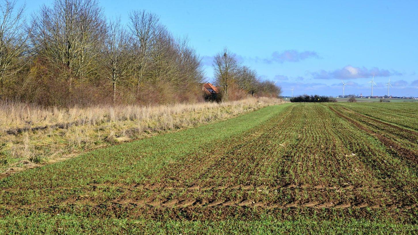 Auf einer Fläche neben der Siedlung an der Bärenhecke plant die Gemeinde Nennslingen ein Gewerbegebiet - vor allem für lokale Unternehmen.
Auf einer Fläche neben der Siedlung an der Bärenhecke plant die Gemeinde Nennslingen ein Gewerbegebiet - vor allem für lokale Unternehmen.