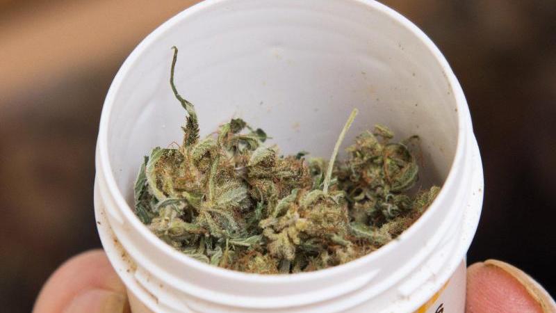 Die neue Bundesregierung will Cannabis legalisieren.