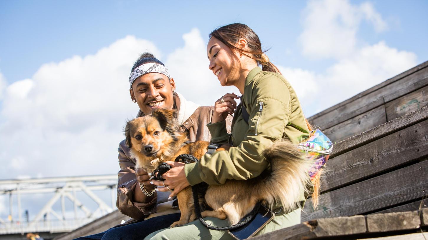 Nala, Bella oder Emma sind beliebte Vornamen für Hunde.