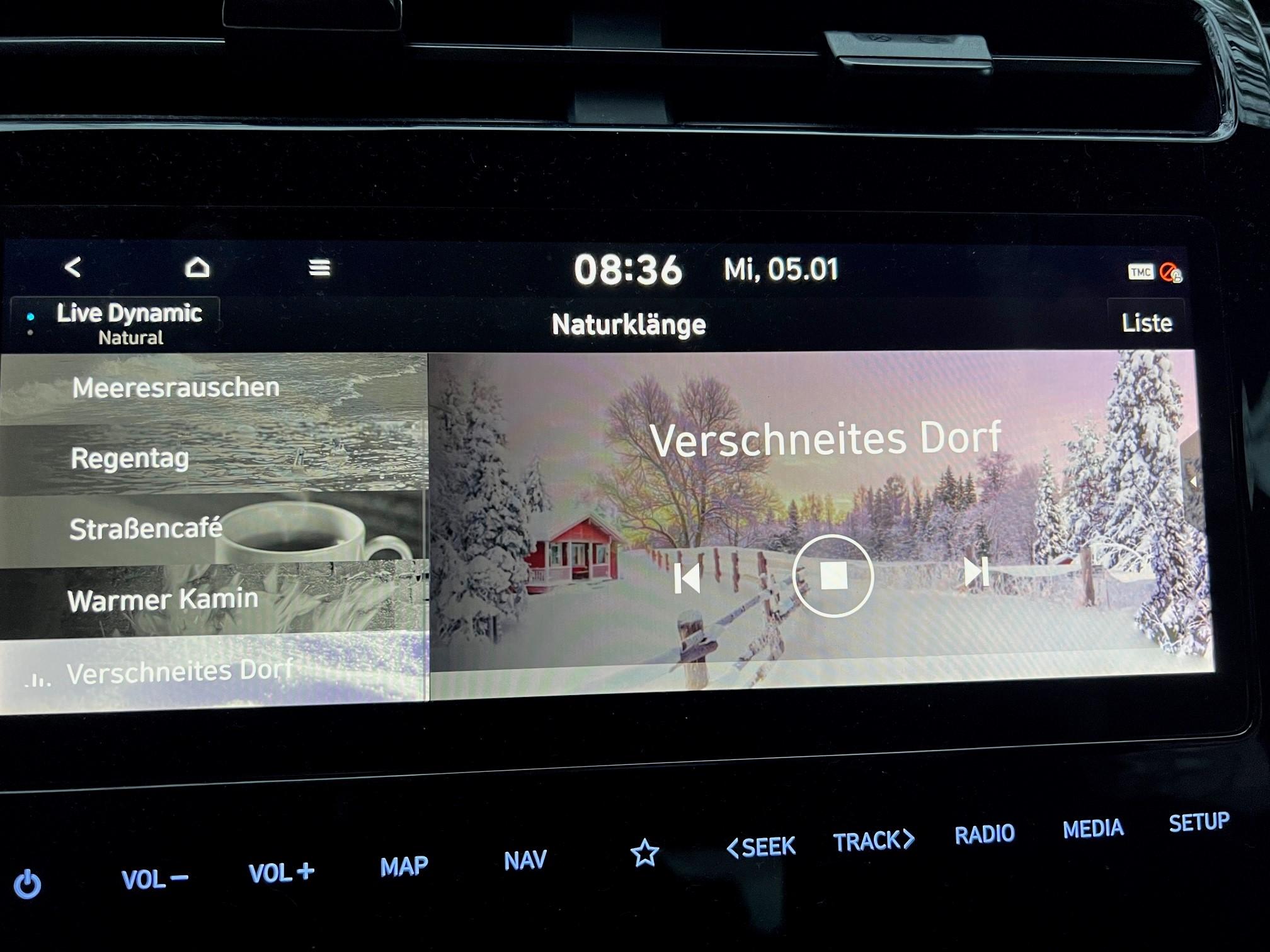 Kennt man von Tesla: Verschiedene Stimmungslagen werden optisch und akustisch über den Zentralmonitor vermittelt. Der Soundtrack von "Verschneites Dorf" ist das Knirschen von Schnee unter den Füßen.