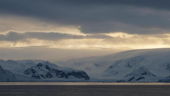 Von Franken nach Antarktika: Forchheimerin taucht ein in Welt der Extreme