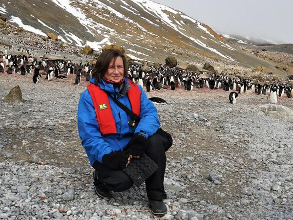 NN-Autorin Sylvia Kiesewetter vor der Pinguin-Kolonie an Brown Bluff auf der Antarktischen Halbinsel.