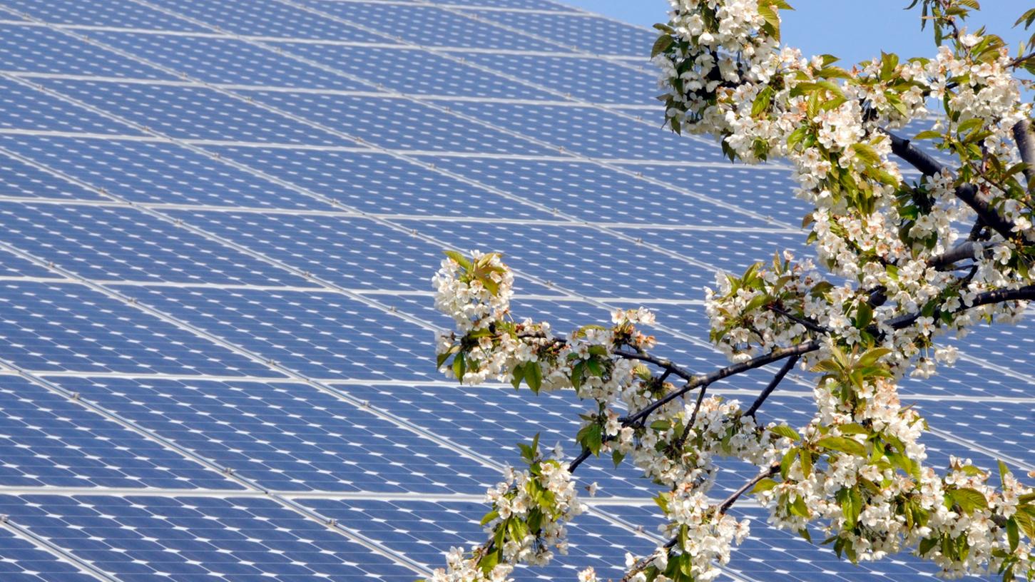 Solaranlagen klauen Licht? In den USA hat die Gemeinde Woodland nun eine große Solaranlage verhindert.