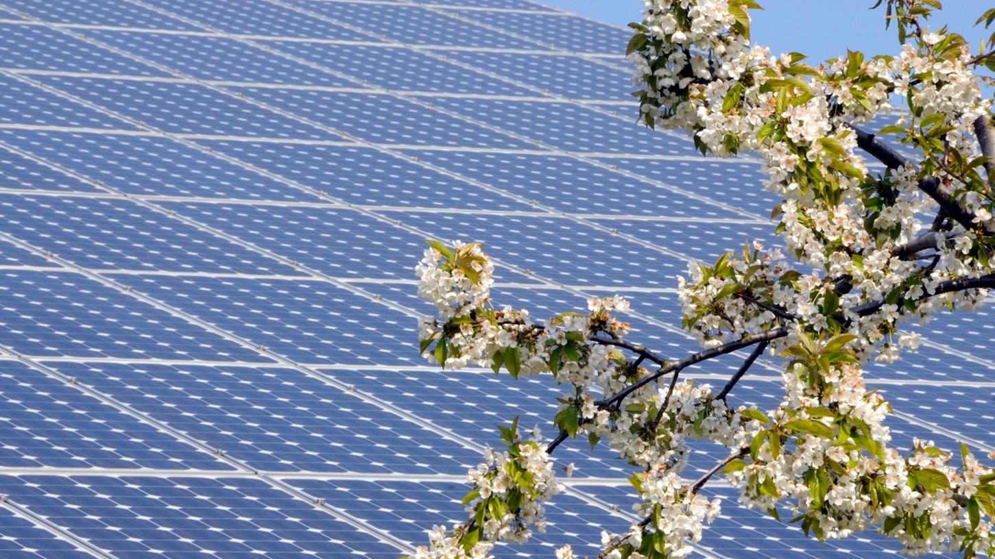 Solaranlagen klauen Licht? In den USA hat die Gemeinde Woodland nun eine große Solaranlage verhindert. Solaranlagen klauen Licht? In den USA hat die Gemeinde Woodland nun eine große Solaranlage verhindert.