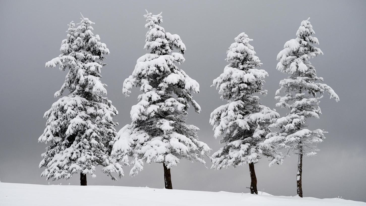 Ab Donnerstag hält der Winter erneut Einzug in Franken. In den frühen Morgenstunden schneit es vielerorts in der Region.
Ab Donnerstag hält der Winter erneut Einzug in Franken. In den frühen Morgenstunden schneit es vielerorts in der Region.