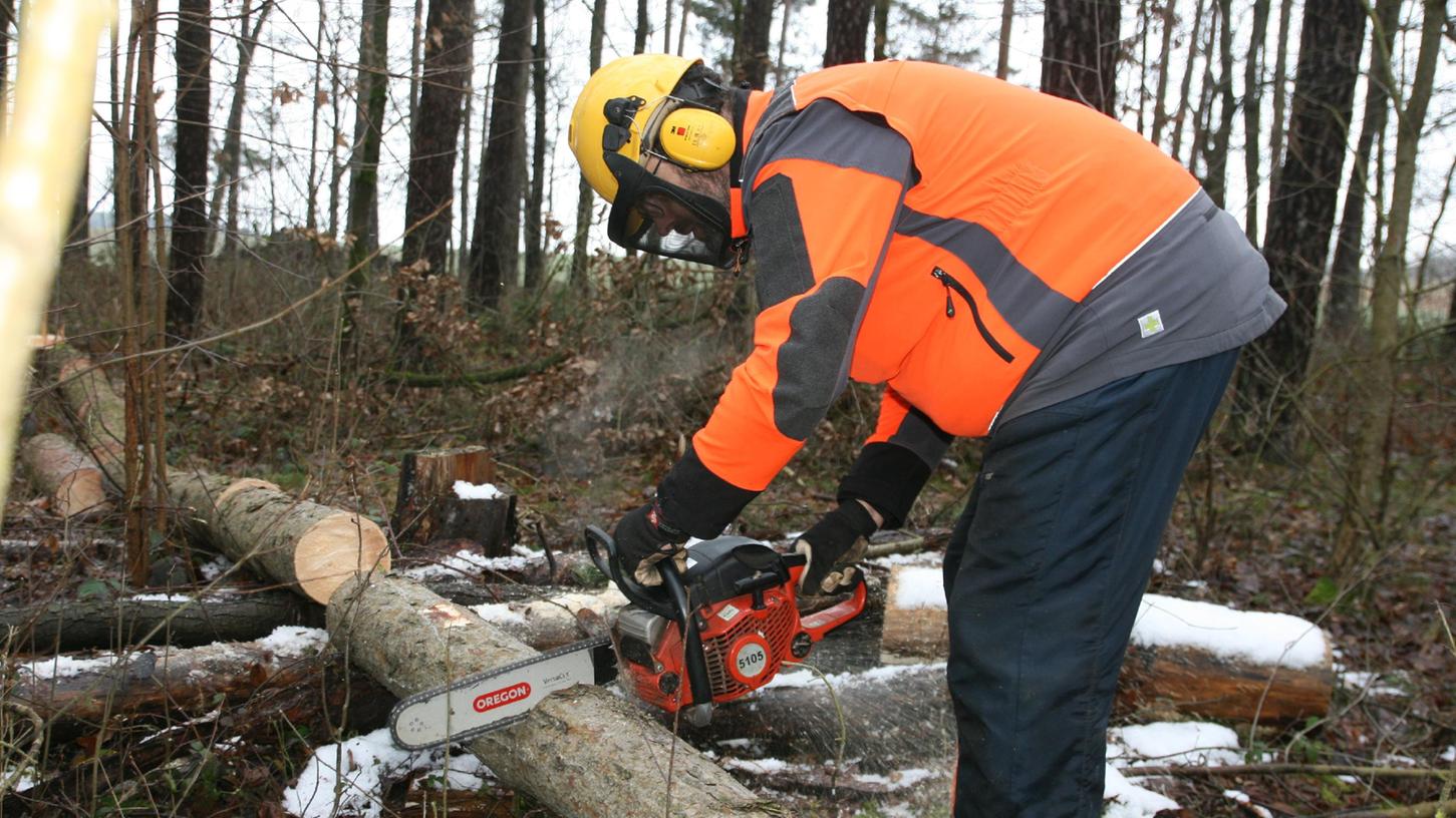Mit der Motorsäge: Der Privatwaldbesitzer Boris Üblacker arbeitet in seinem Wald bei Mechelwind im Landkreis Erlangen-Höchstadt.
Mit der Motorsäge: Der Privatwaldbesitzer Boris Üblacker arbeitet in seinem Wald bei Mechelwind im Landkreis Erlangen-Höchstadt.