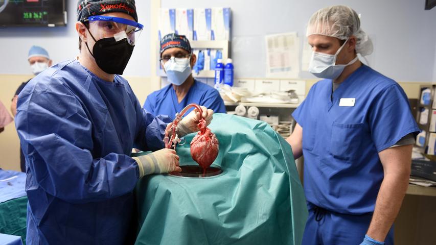 Ein historisches Foto: Ein Transplantationsteam in den USA hat nach eigenen Angaben erstmals ein genetisch modifiziertes Schweineherz an einen menschlichen Patienten angeschlossen.