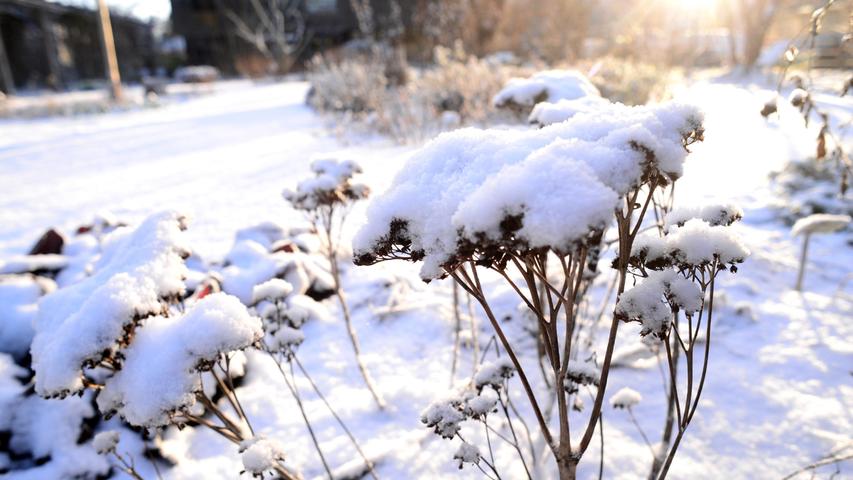 Impressionen: Schnee verzaubert den Fürther Stadtpark
