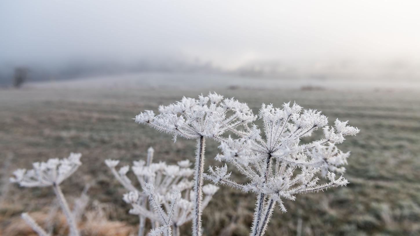 In der Nacht auf Dienstag ist erneut mit Frost zu rechnen.
In der Nacht auf Dienstag ist erneut mit Frost zu rechnen.