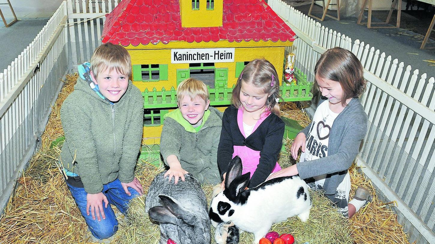 Von Hasen und Kaninchen Von Hasen und Kaninchen