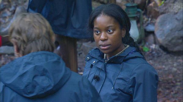 Ich bin ein Star - Holt mich hier raus!