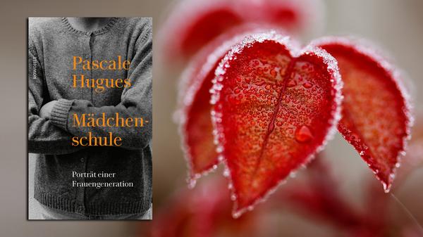 Ihr 50 Jahre altes Poesiealbum gab Pascale Hugues den Anstoß zu ihrem Klassentreffen-Experiment: Die französische Autorin, die als Journalistin in Berlin arbeitet, suchte ein Dutzend ihrer Klassenkameradinnen aus der Grundschule auf und erinnert sich in "Mädchenschule" gemeinsam mit ihnen. An Schulmilch, Sonntagskaffee und Sittenstrenge, an Armut im damaligen Elsass und soziale Aufstiege. Nostalgie ist immer ein dankbares Schreibthema – hier ist es warmherzig und bittersüß geraten. (Rowohlt, 20 Euro) Isabel Lauer