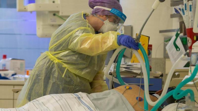Eine Krankenschwester betreut einen Covidpatienten, der künstlich beatmet wird. Eine Krankenschwester betreut einen Covidpatienten, der künstlich beatmet wird.