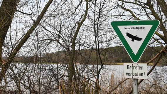 Kahlschlag im Naturschutzgebiet: Warum wird am Rothsee gerodet?
