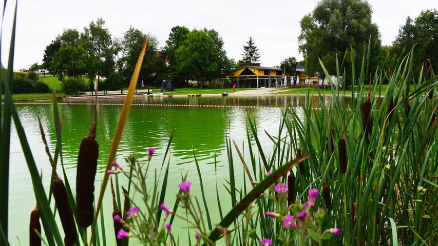 Der idyllische Naturbadesee in Altenveldorf.