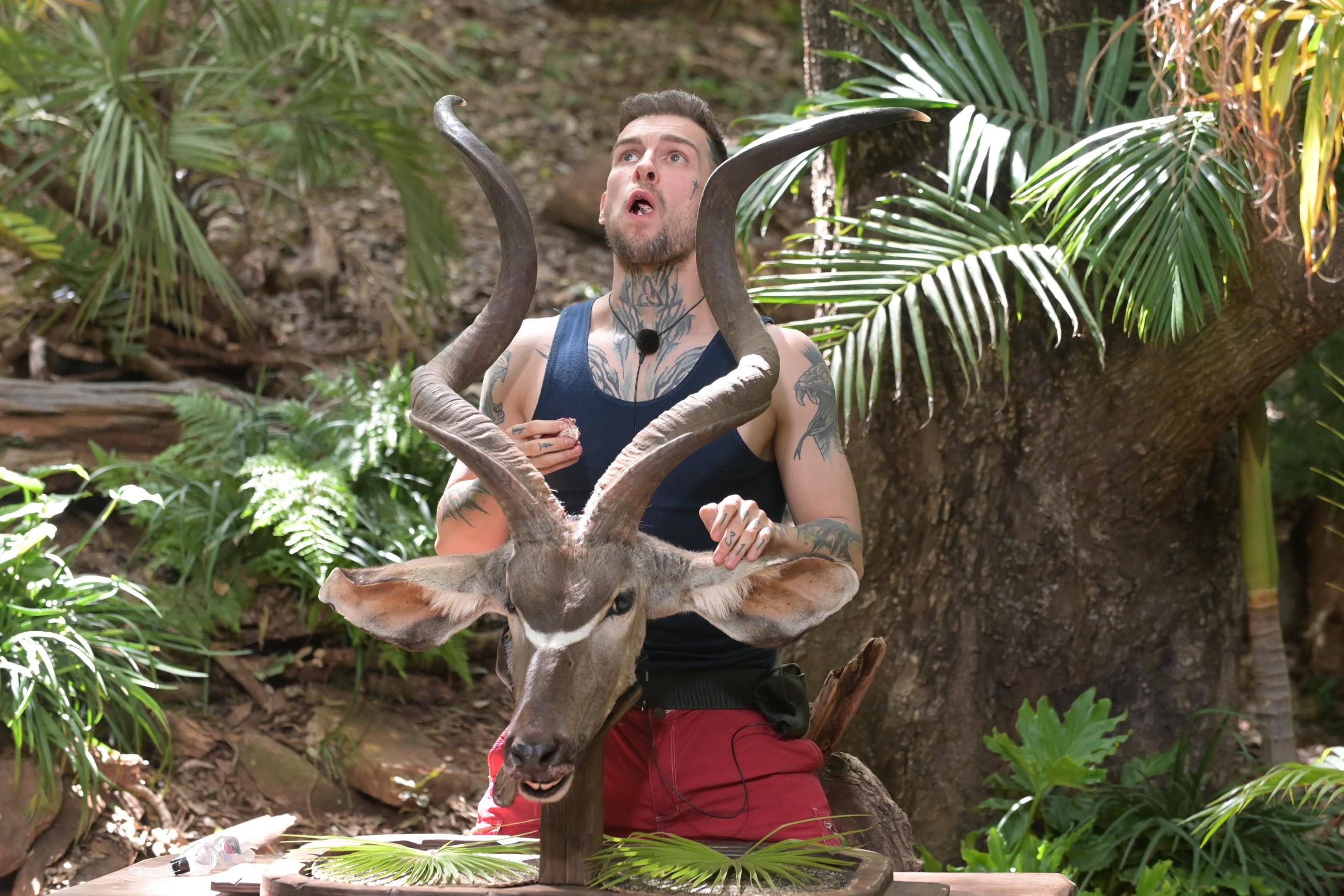 Der Weg zu den Sternen führte unter anderem über Meeresschnecken und ein Stück Straußenherz. Hier verspeist Eric Kudu-Hirn.