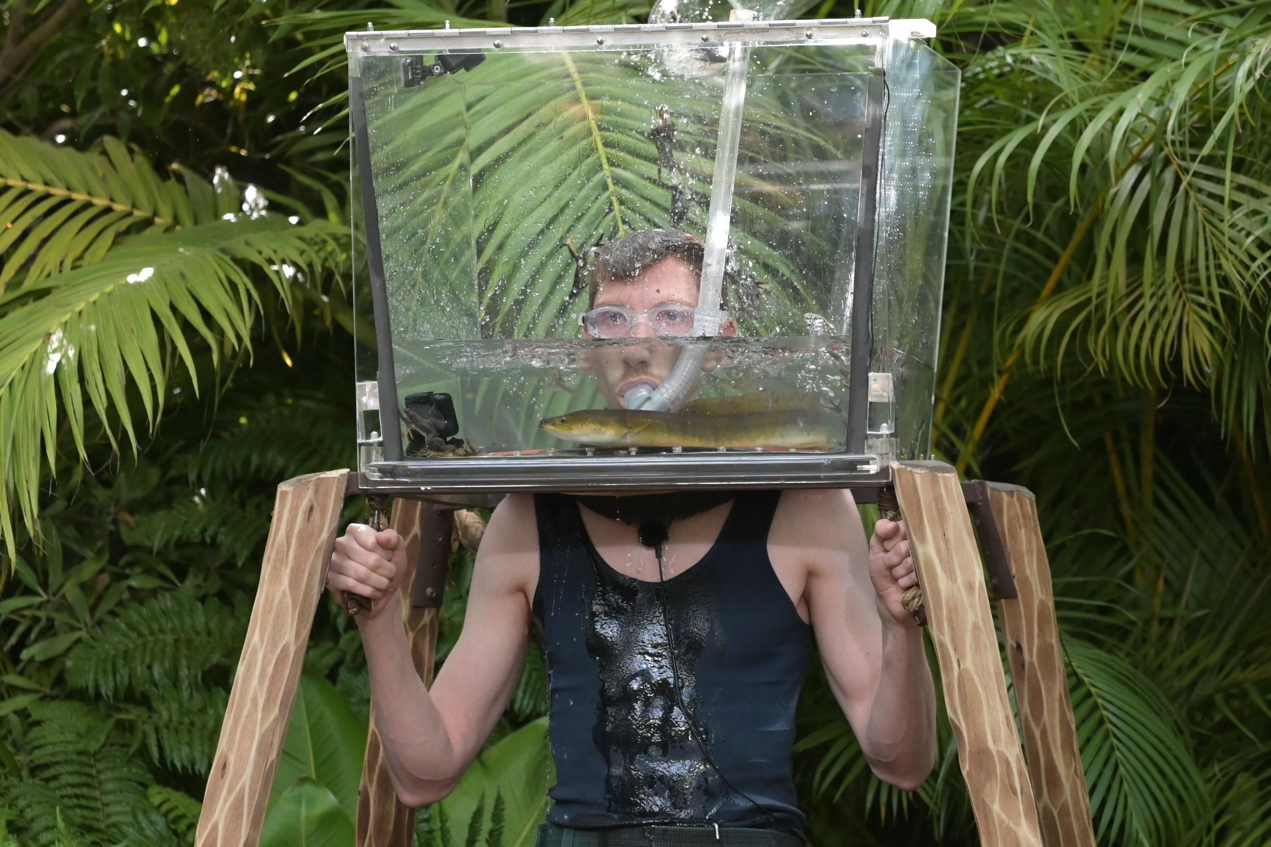 Im Glashelm traf Manuel Aale und Frösche: "Es ist ein Klassiker der Dschungelgeschichte", so Daniel Hartwich. "Zuletzt hat sich daran Larissa Marolt probiert, mit dem sensationellen Erfolg von fünf Sternen." Jetzt war es Manuel, der mit Taucherbrille und Schnorchel im Gesicht einen Glashelm über seinen Kopf gestülpt bekam. 