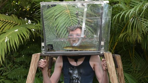 Im Glashelm traf Manuel Aale und Frösche: "Es ist ein Klassiker der Dschungelgeschichte", so Daniel Hartwich. "Zuletzt hat sich daran Larissa Marolt probiert, mit dem sensationellen Erfolg von fünf Sternen." Jetzt war es Manuel, der mit Taucherbrille und Schnorchel im Gesicht einen Glashelm über seinen Kopf gestülpt bekam.