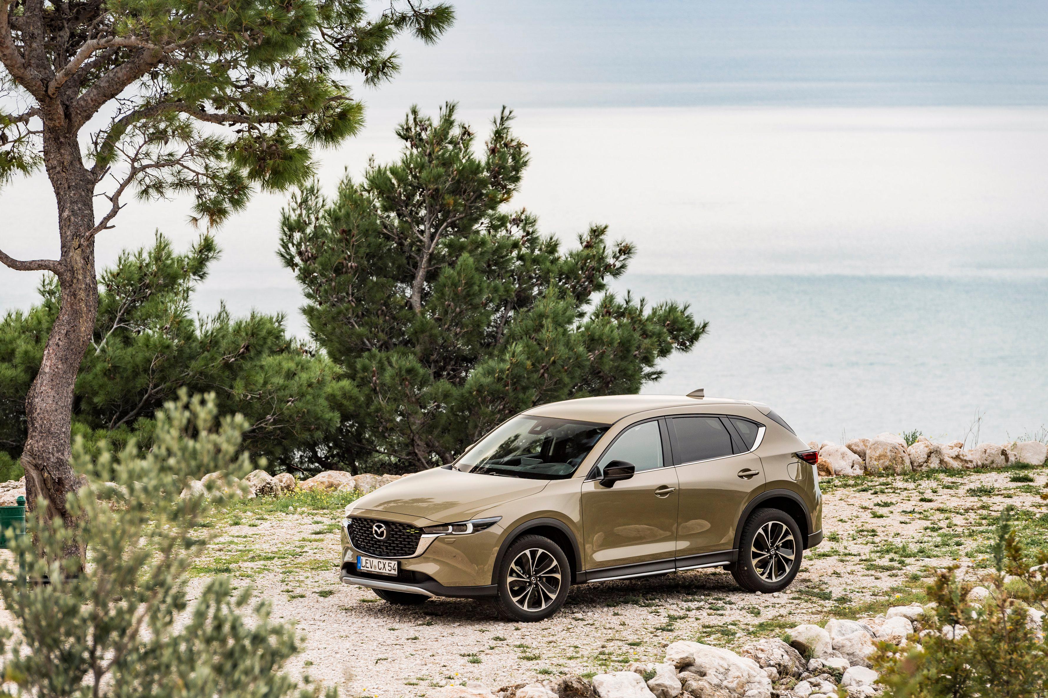 Der Zweiliter-Diesel wiederum leistet 110 kW/150 PS oder 135 kW/184 PS.