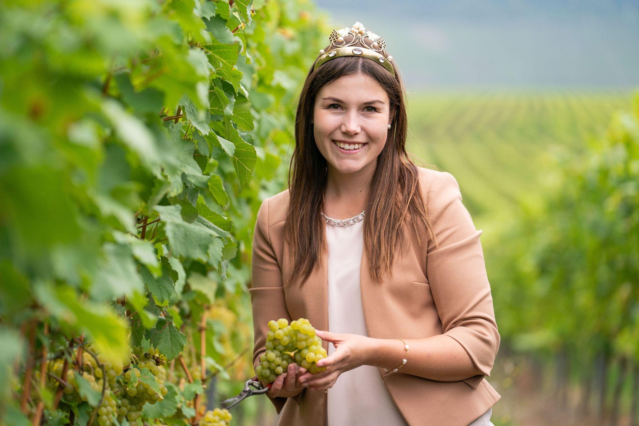 Trotz Absage: Jetzt soll eine fränkische Weinkönigin gewählt werden – Region