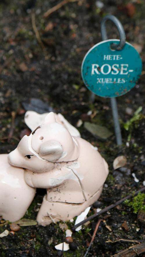 Ähm ja, Sie sehen recht, Ferkeleien! Den Rosengarten hat der Wortakrobat mit eigens entworfenen Schildern dekoriert, die den Begriff "Rose" enthalten. Wie hier die heterROSEsexuellen Schweinchen. 