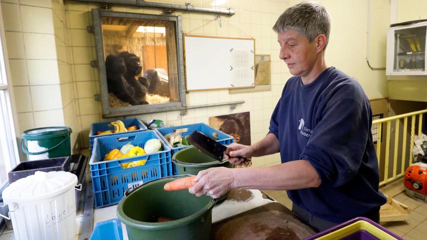  Revierleiterin Ramona Such ist bei der Futterzubereitung in der Küche, im Hintergrund schauen ihr die Affen durch das Fenster zu.  Seitenverhältnis