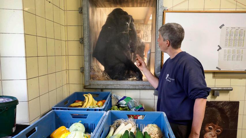 Tiergarten-Revierleiterin Ramona Such bereitet das Futter zu, täglich vertilgen die Menschenaffen bis zu 40 Kilogramm Gemüse.