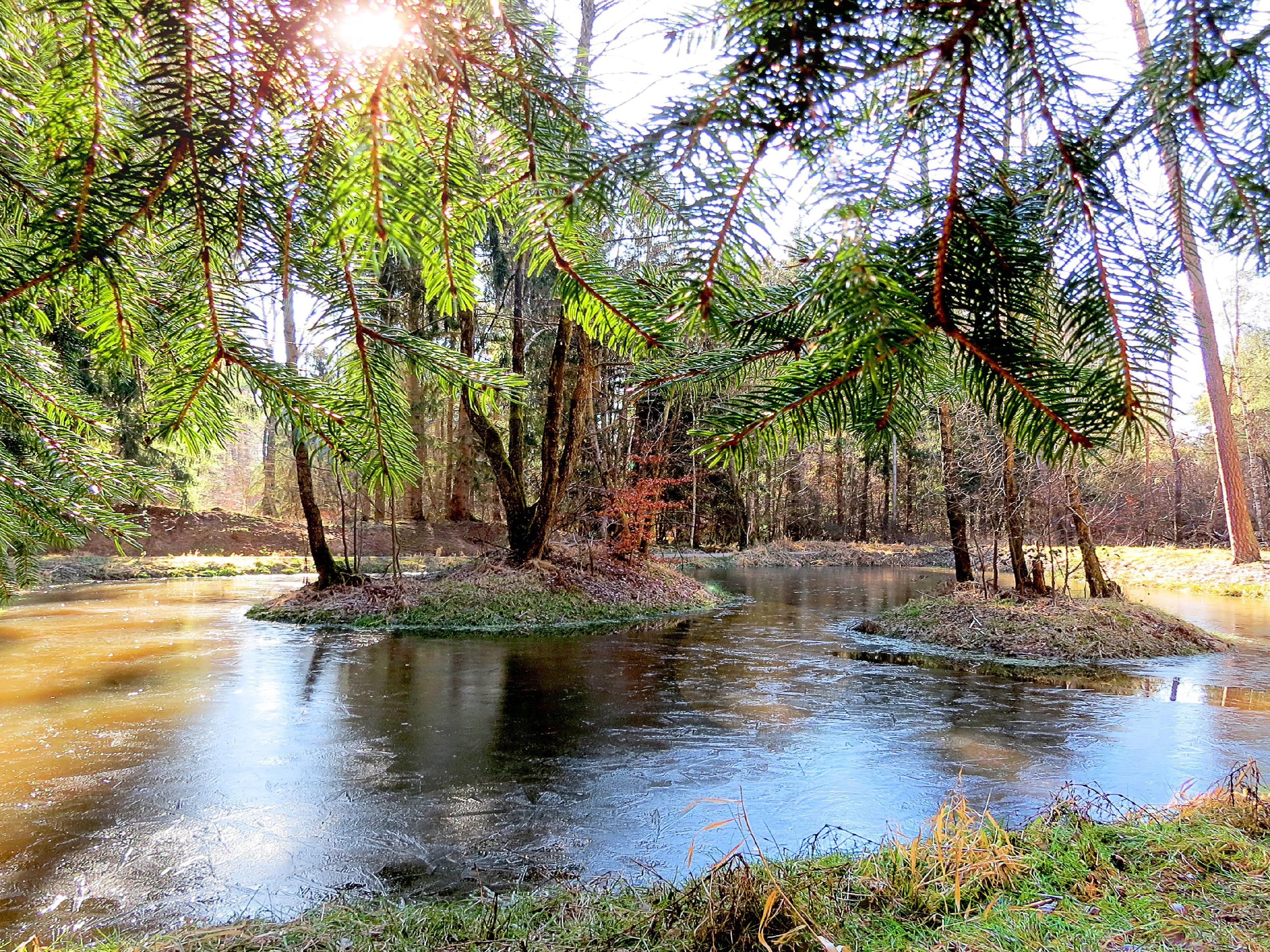Das Siegerbild ist gekürt